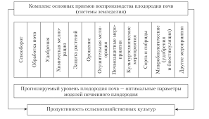 Перец золотое чудо: характеристика и описание сорта