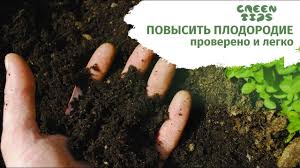 Моченые яблоки на зиму: простой рецепт 