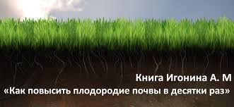 Рецепт чачи из винограда в домашних условиях