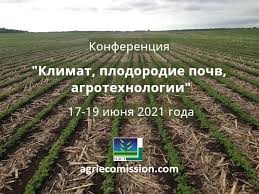 Можжевельник хетц (hetz ): описание, фото в ландшафтном дизайне, отзывы
