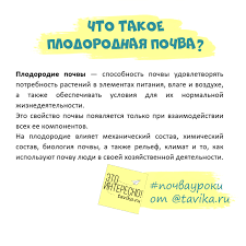 Табу: обработка картофеля перед посадкой  