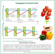 Посадка топинамбура осенью: сроки, уход, обрезка, как размножить