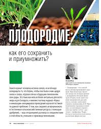 Сосна кедровая европейская (кедр европейский): описание, посадка и уход, фото